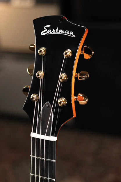 Eastman ER4 El Ray Otto D'ambrosio Signature Hollowbody Electric Guitar - Pomonaburst with Hardshell Case