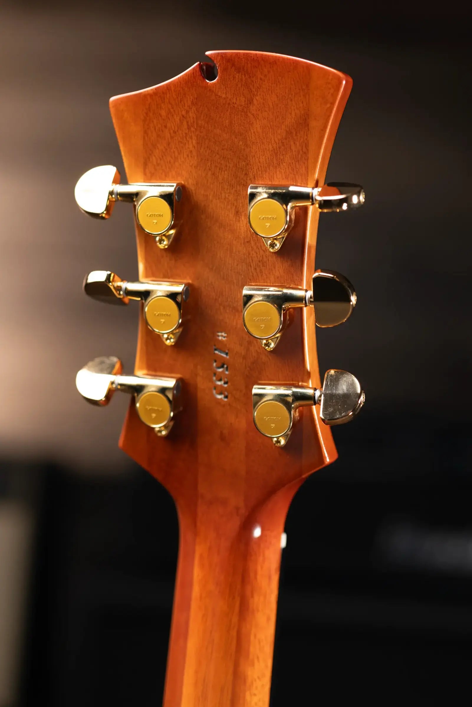 Eastman ER4 El Ray Otto D'ambrosio Signature Hollowbody Electric Guitar - Pomonaburst with Hardshell Case