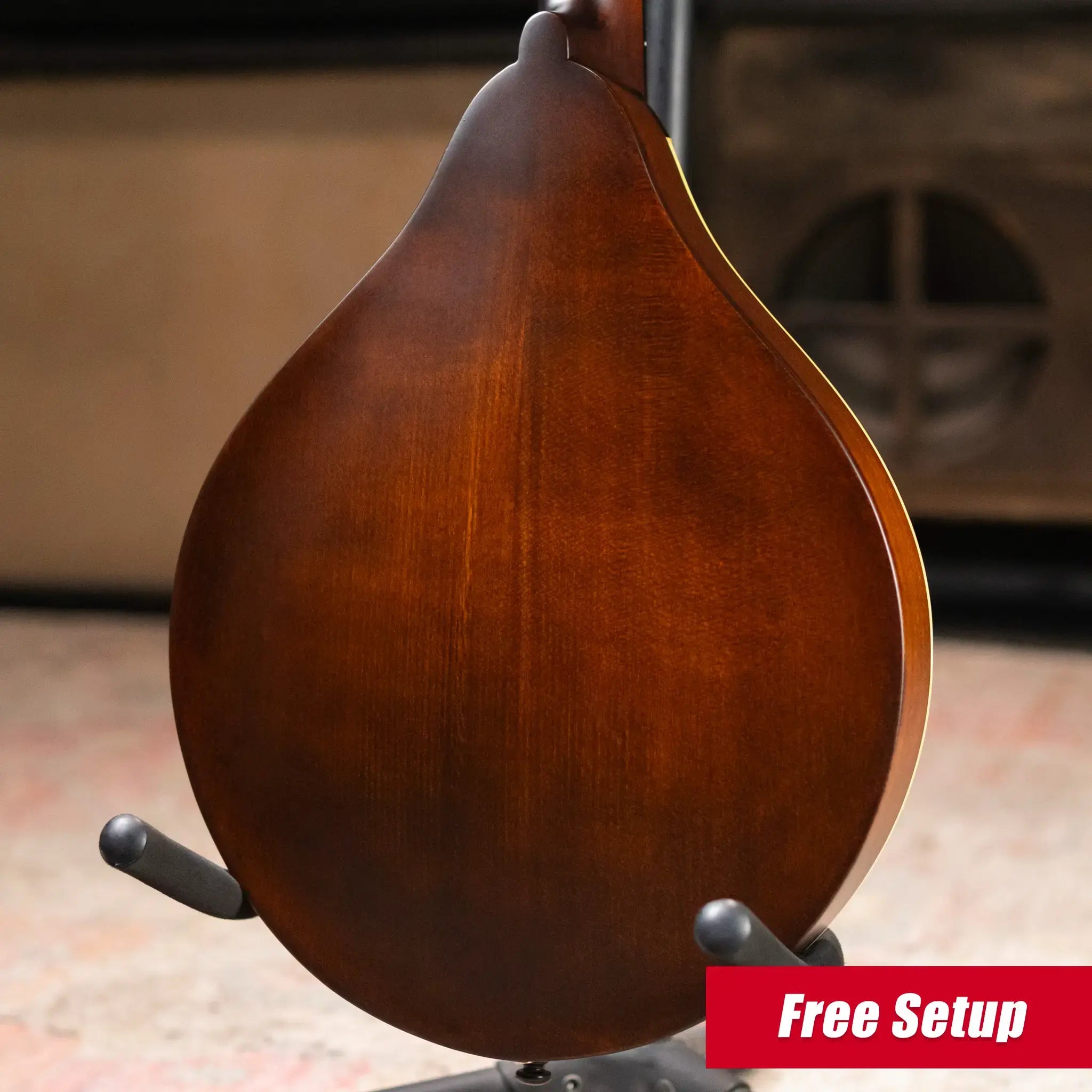 Eastman MD305 A-Style Mandolin - Classic Finish with Soft Case