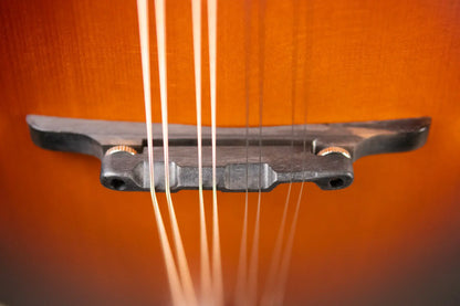 Eastman MD315E-SB F-Style Acoustic/Electric Mandolin - Sunburst with Gig Bag