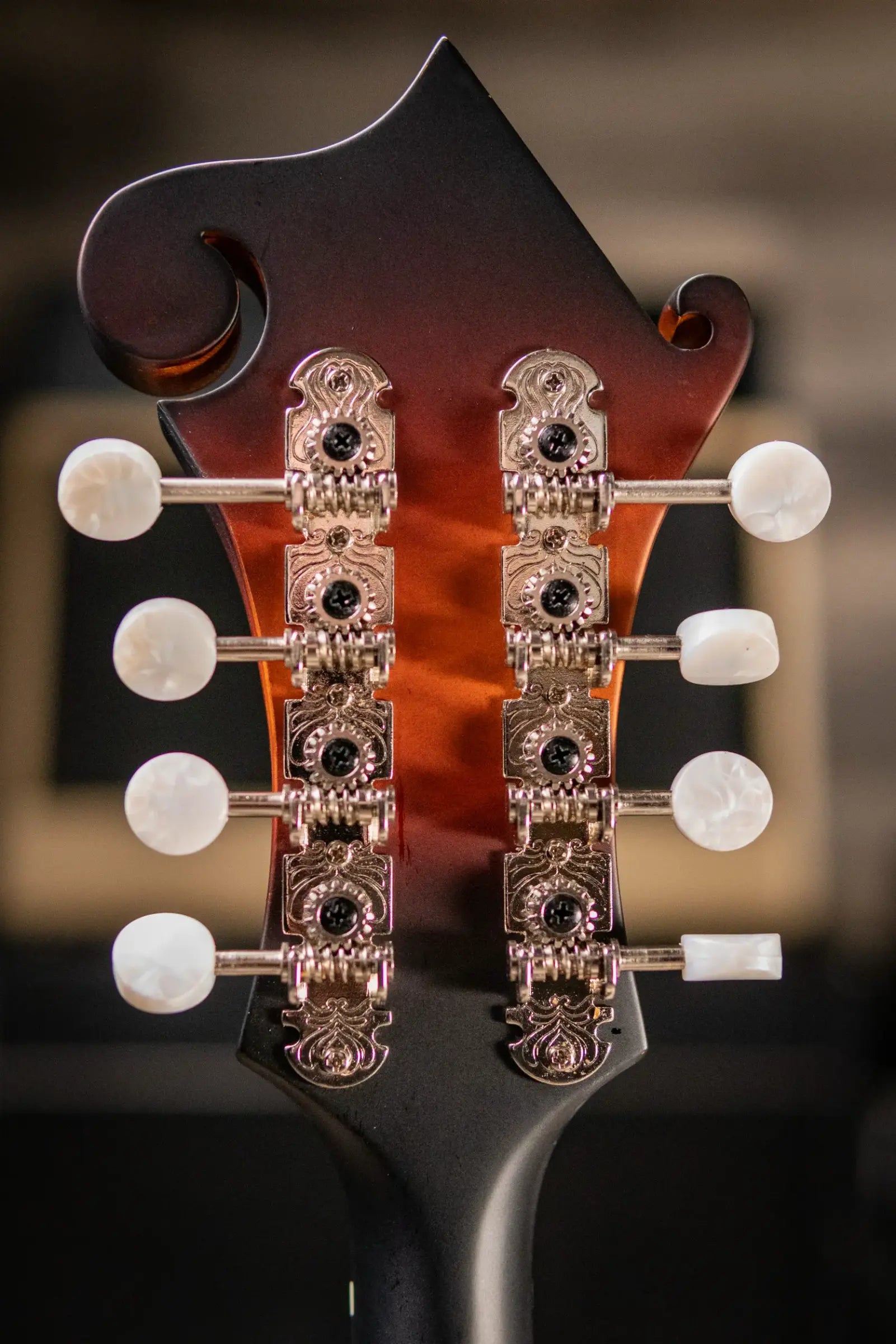 Eastman MD315E-SB F-Style Acoustic/Electric Mandolin - Sunburst with Gig Bag