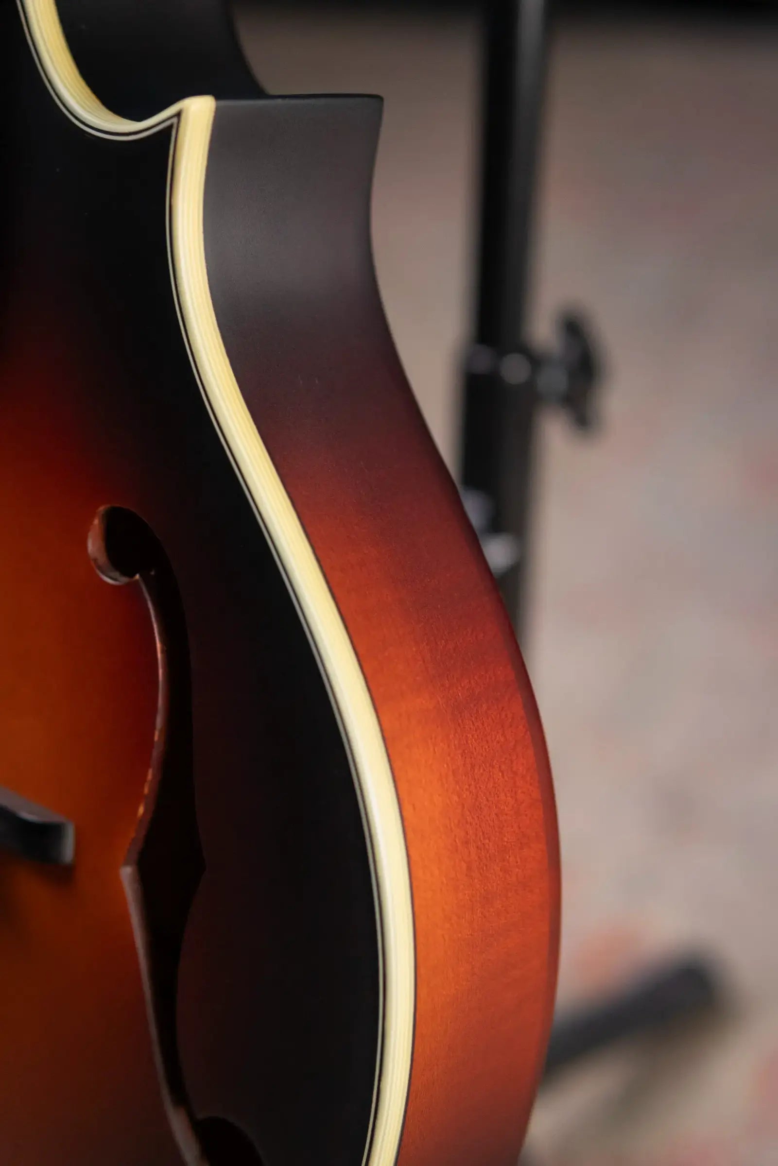 Eastman MD315E-SB F Style Acoustic/Electric Mandolin - Sunburst with Gig Bag