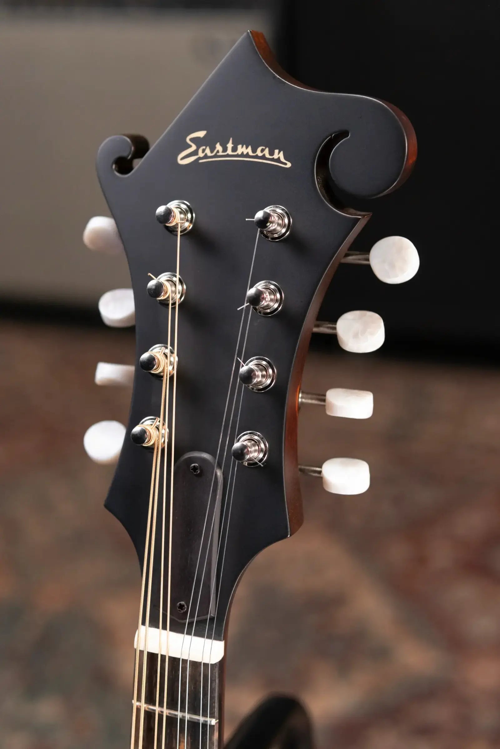 Eastman MD315 F-Style Mandolin with Gig Bag