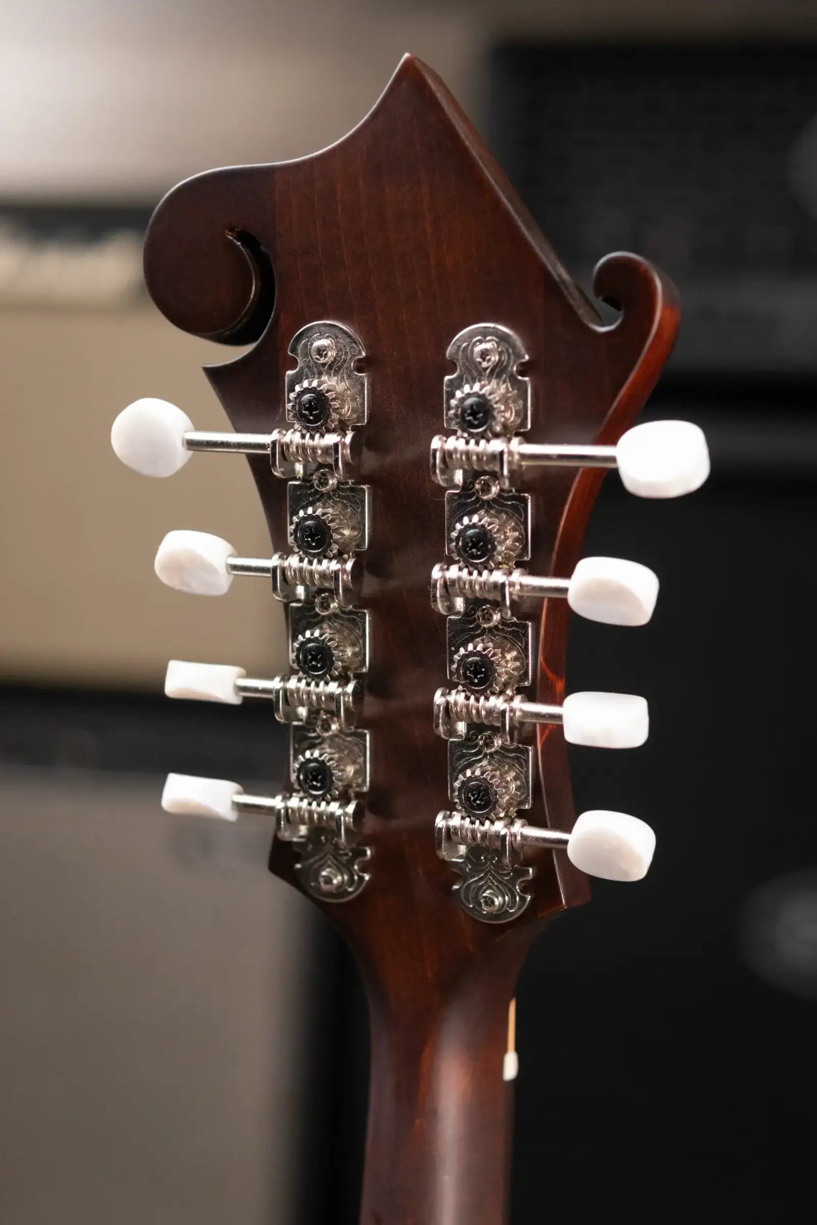 Eastman MD315 F-Style Mandolin with Gig Bag