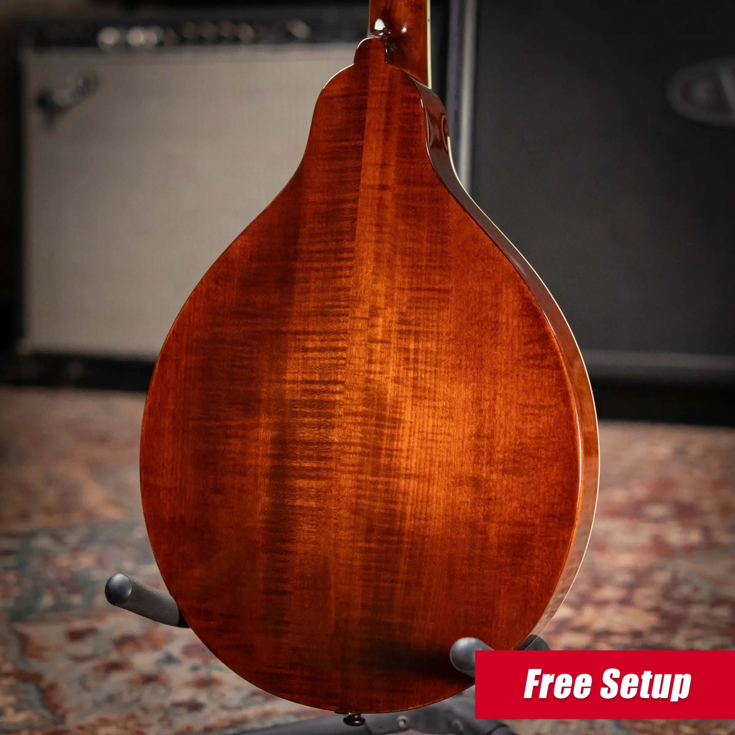 Eastman MD504 A-Style Mandolin - Classic with Hardshell Case