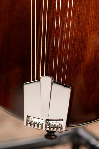Eastman MD515 Mandolin F-Style with Hardshell Case