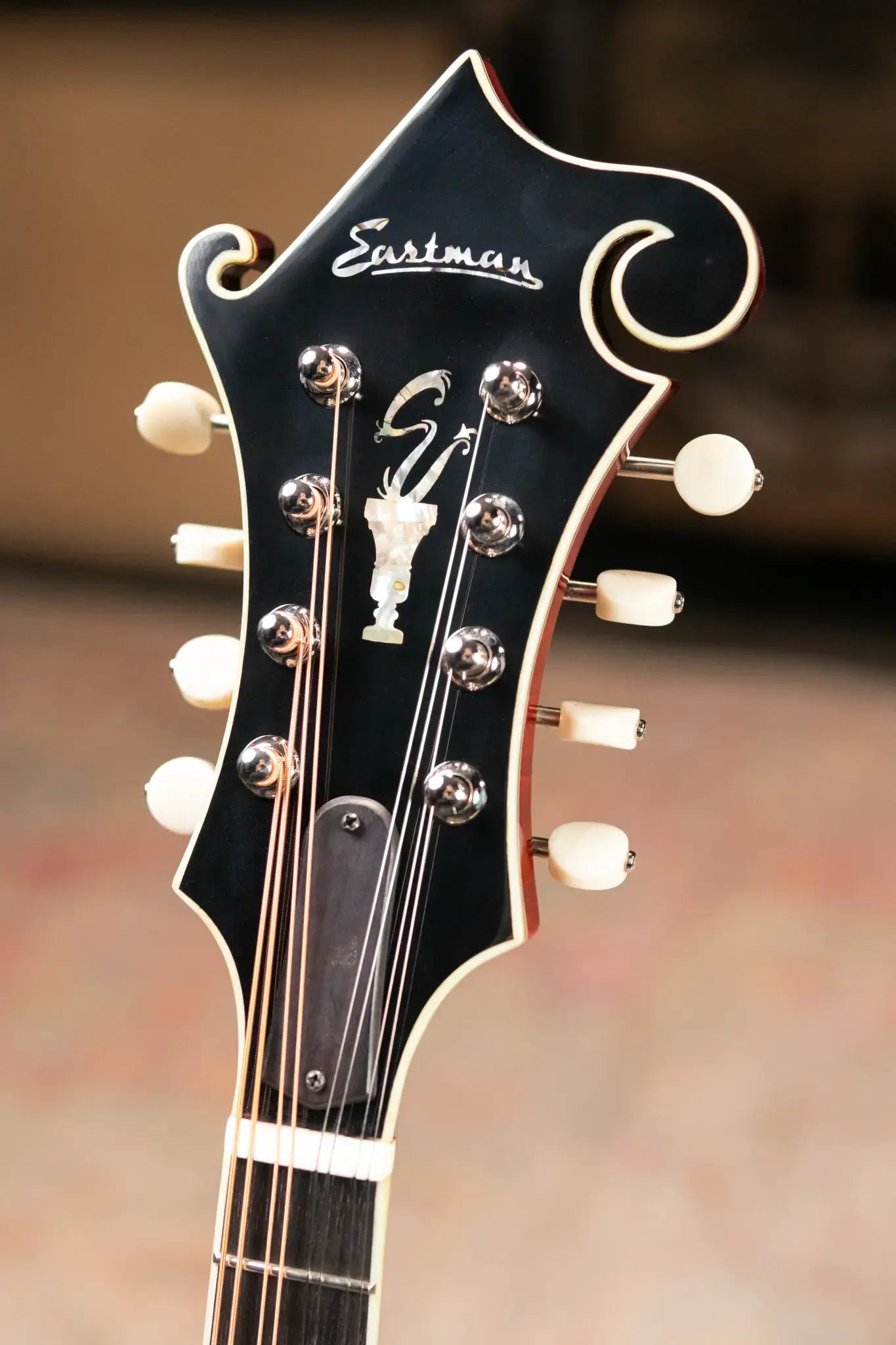 Eastman MD815 F Style Mandolin with Hardshell Case