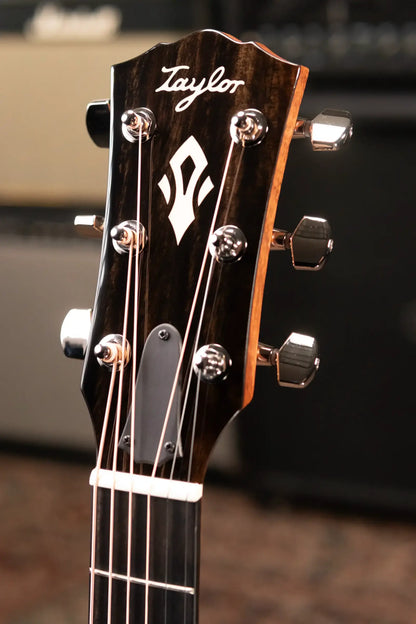 Taylor Gold Label 517e Grand Pacific Acoustic/Electric Guitar with Hardshell Case