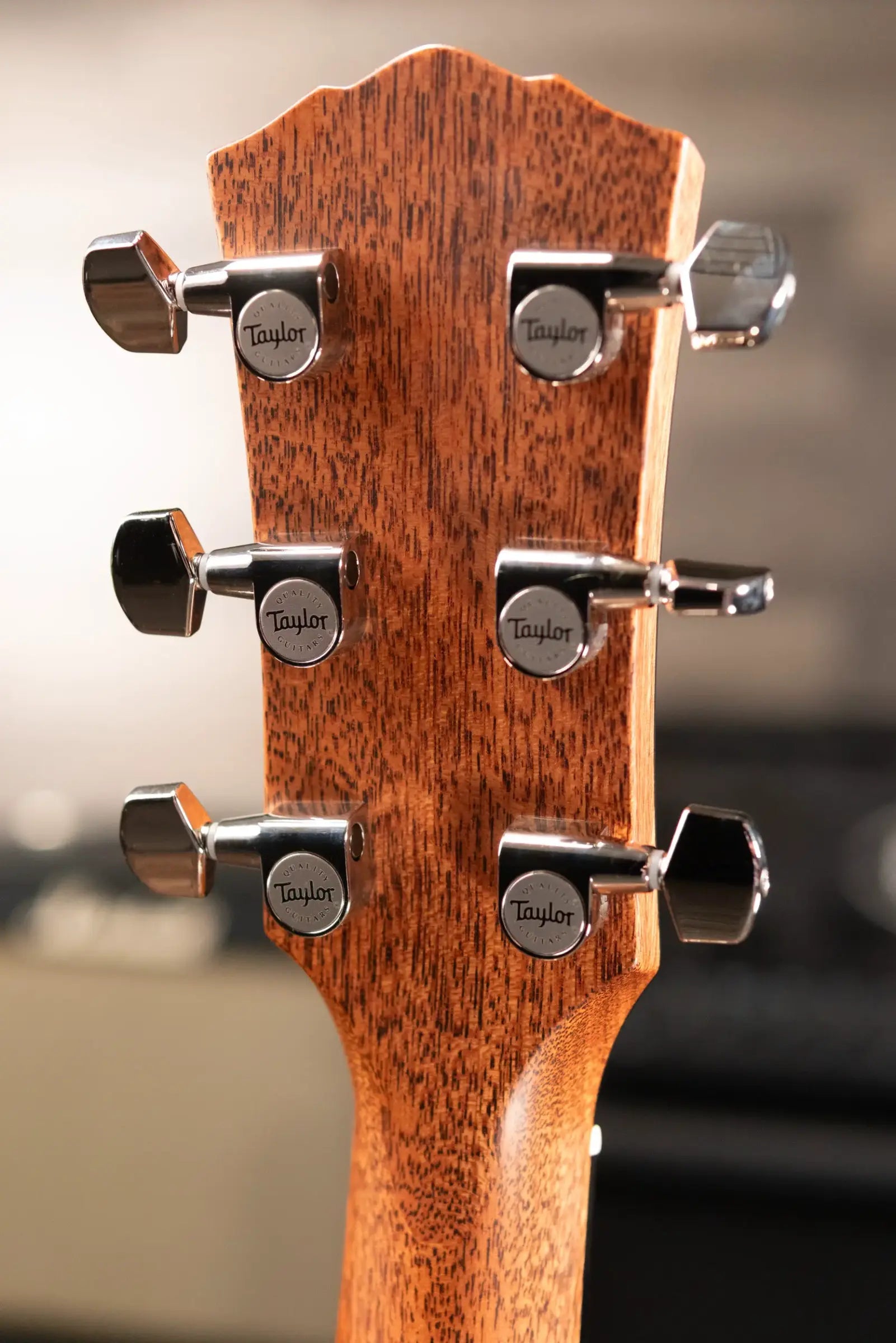 Taylor Gold Label 517e Grand Pacific Acoustic/Electric Guitar with Hardshell Case