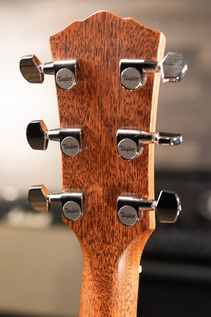 Taylor Gold Label 517e Grand Pacific Acoustic/Electric Guitar with Hardshell Case