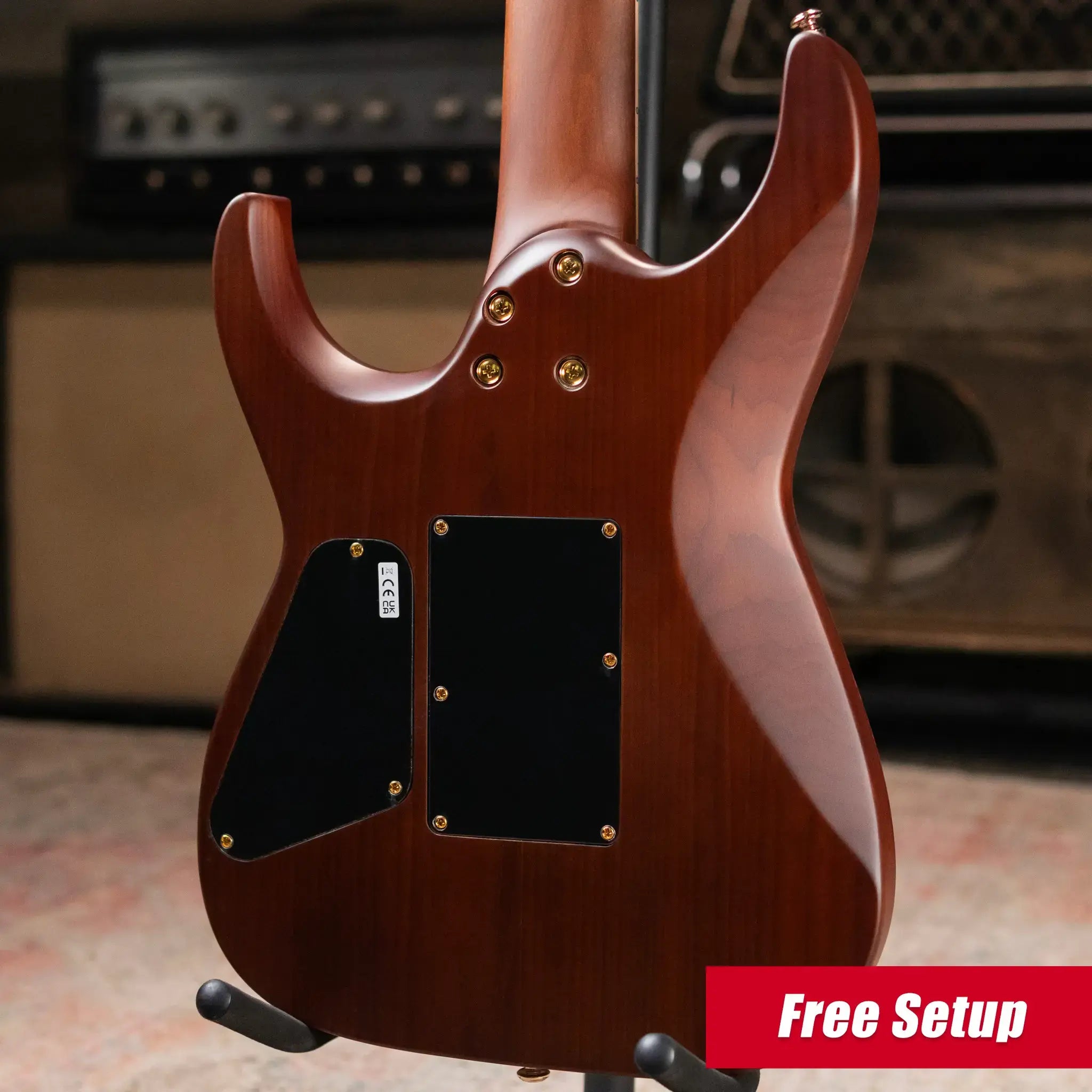 Charvel Angel Vivaldi "Betty" DK24-7 - Natural Flame Maple Top with Gig Bag