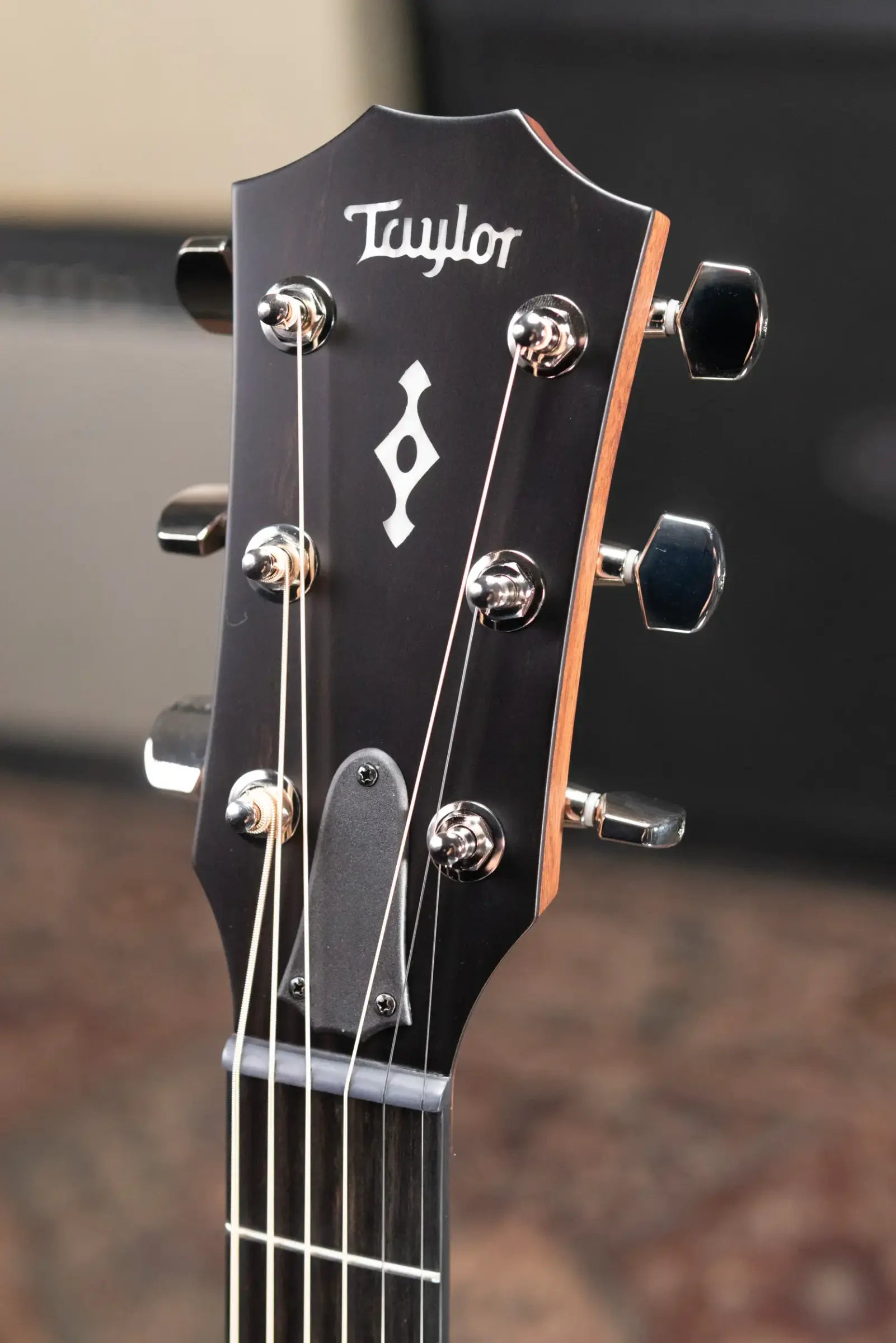 Taylor Next Generation 314ce Grand Auditorium Acoustic/Electric Guitar with Hardshell Case