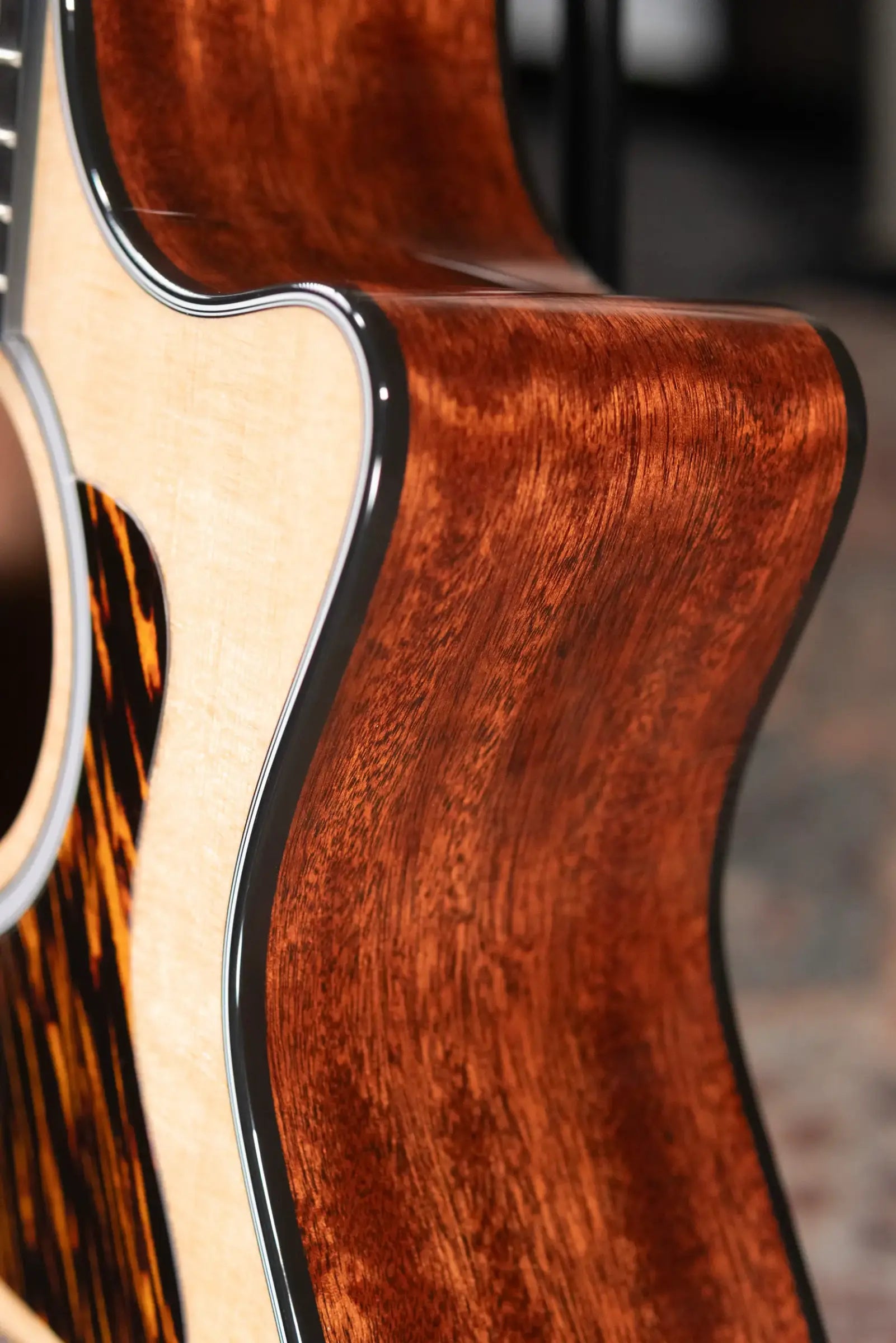 Taylor Next Generation 314ce Grand Auditorium Acoustic/Electric Guitar with Hardshell Case