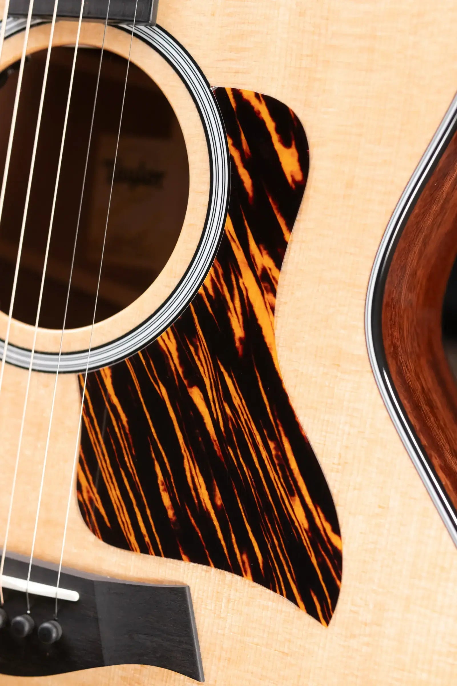 Taylor Next Generation 314ce Grand Auditorium Acoustic/Electric Guitar with Hardshell Case