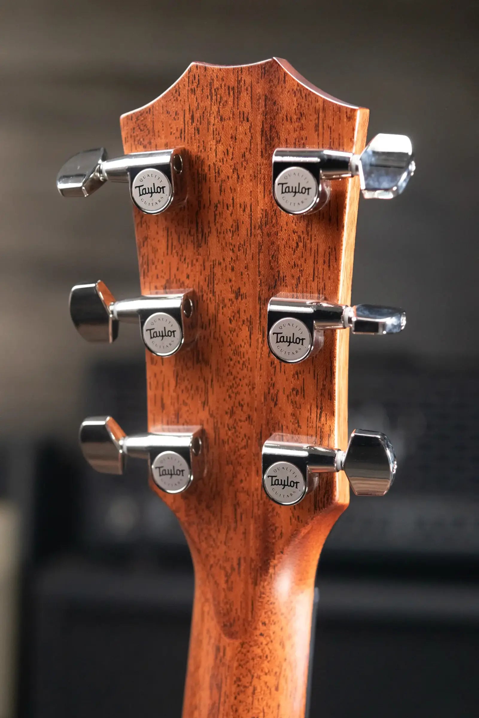 Taylor Next Generation 314ce Grand Auditorium Acoustic/Electric Guitar with Hardshell Case