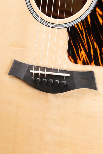 Taylor Next Generation 314ce Grand Auditorium Acoustic/Electric Guitar with Hardshell Case