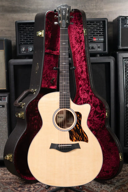 Taylor Next Generation 314ce Grand Auditorium Acoustic/Electric Guitar with Hardshell Case