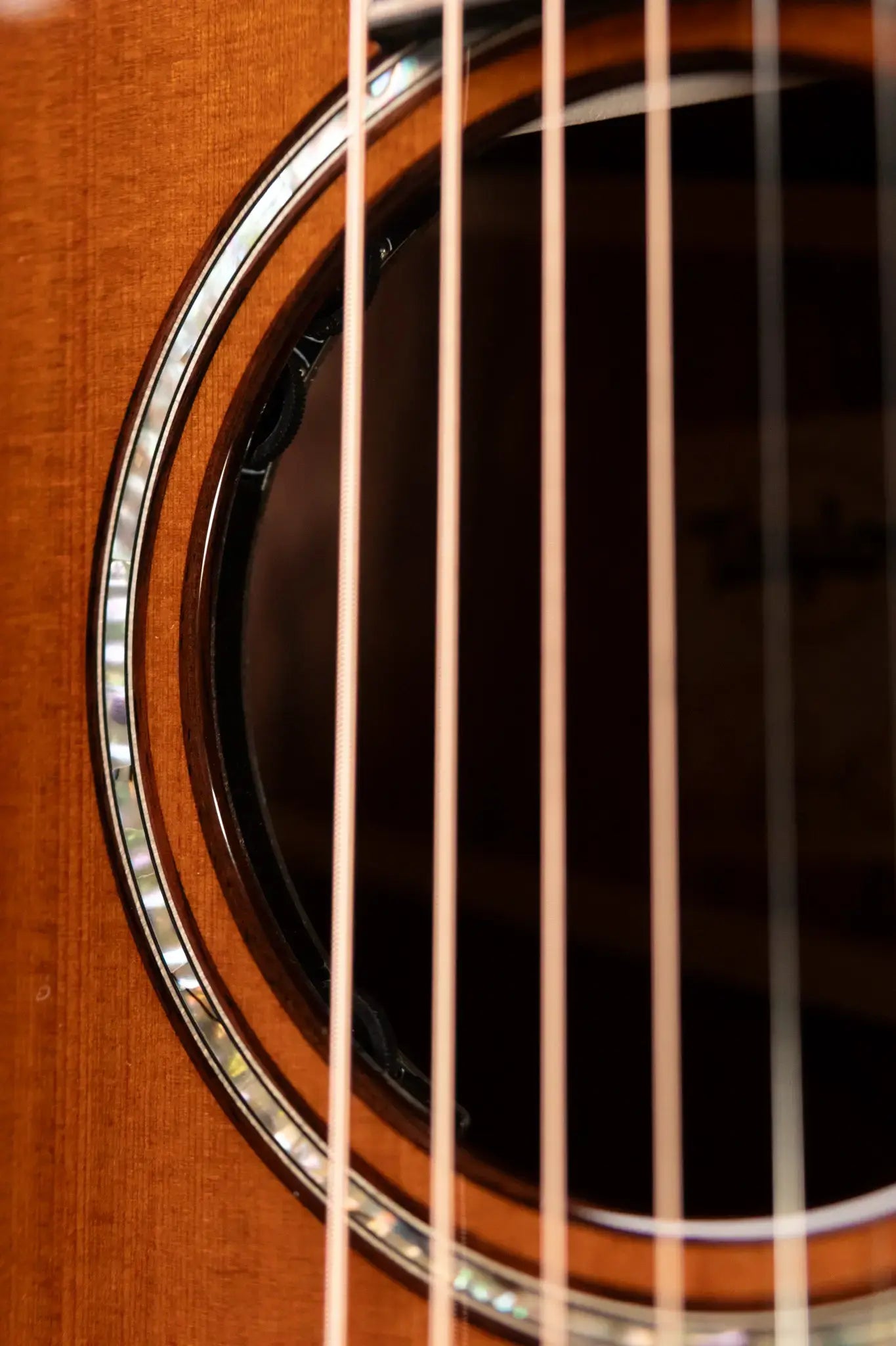 Taylor Next Generation Builder's Edition 814ce Grand Auditorium Acoustic/Electric Guitar - Shaded Edgeburst with Hardshell Case