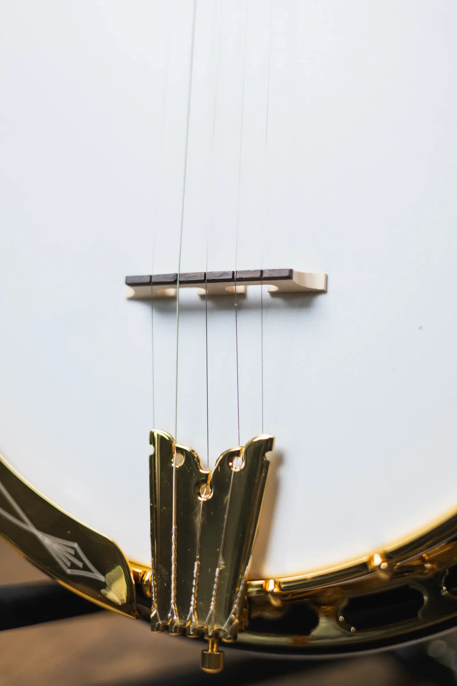 Epiphone Masterbuilt Earl Scruggs Golden Deluxe Banjo with Hardshell Case