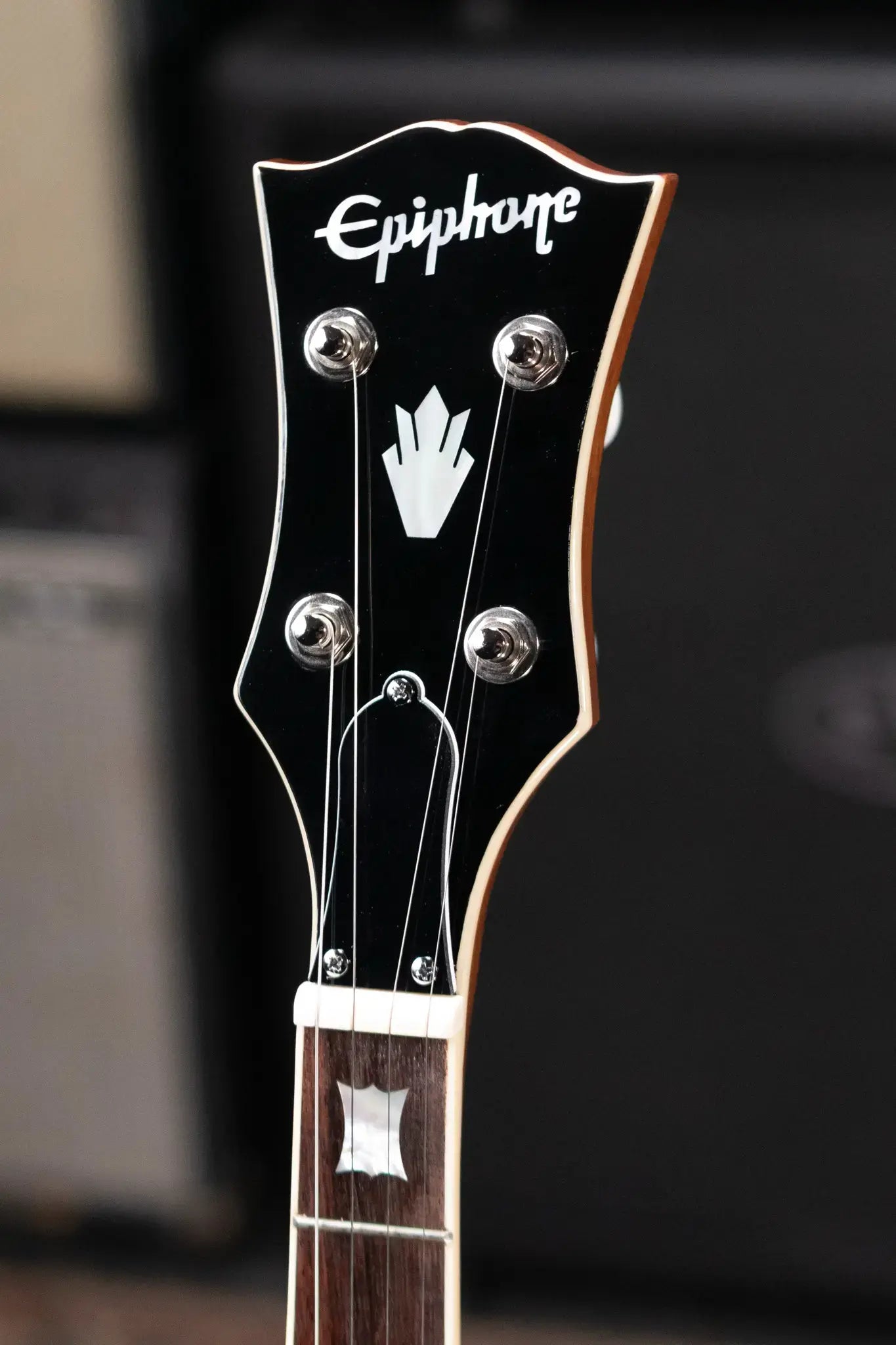 Epiphone Mastertone Bowtie Open Back Banjo with Gig Bag
