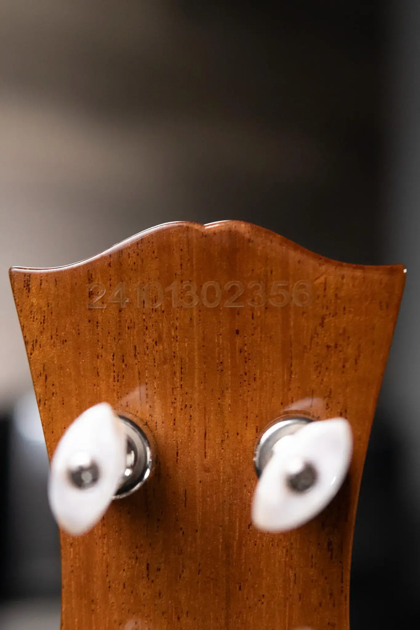 Epiphone Mastertone Bowtie Open Back Banjo with Gig Bag