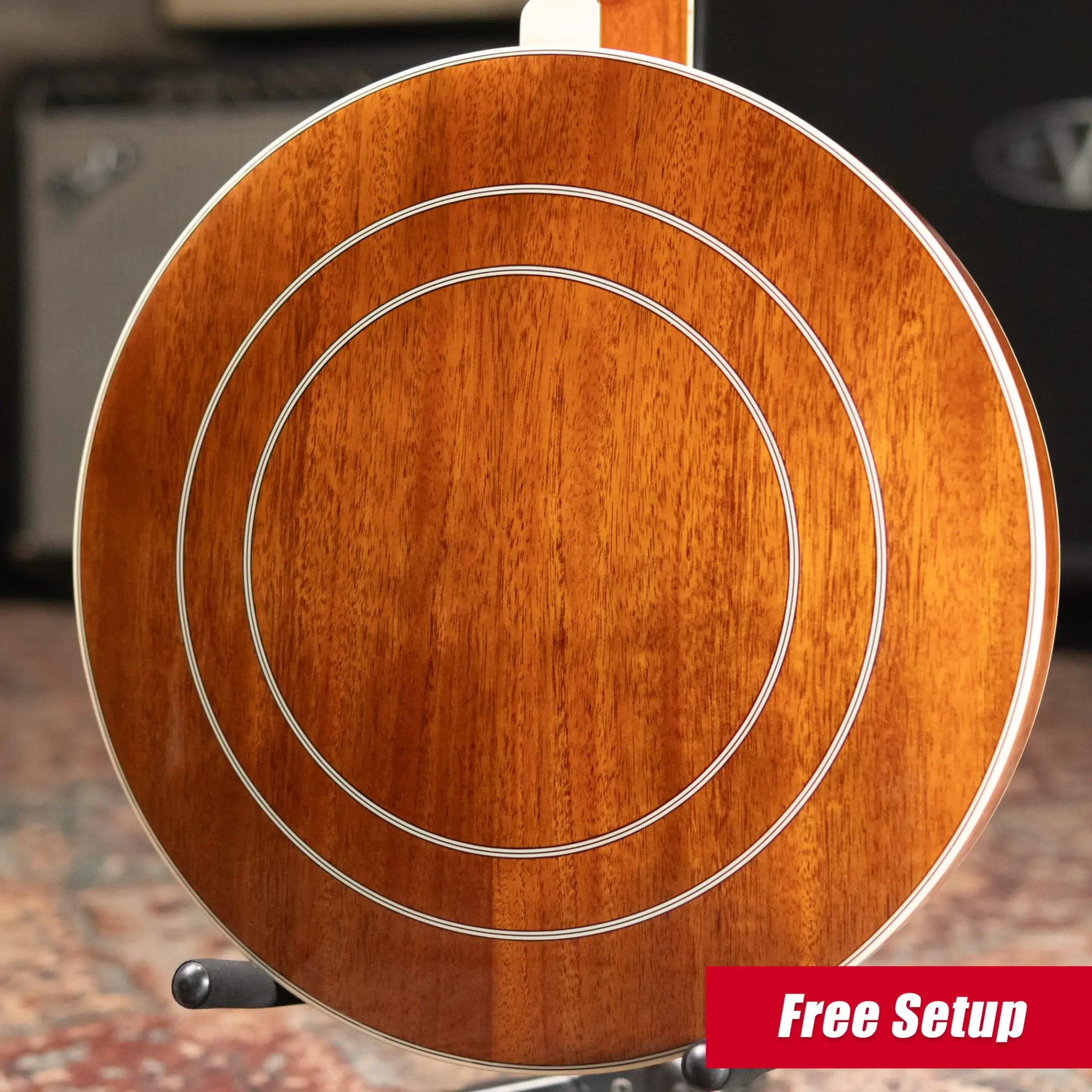 Epiphone Mastertone Classic Banjo - Natural with Hardshell Case
