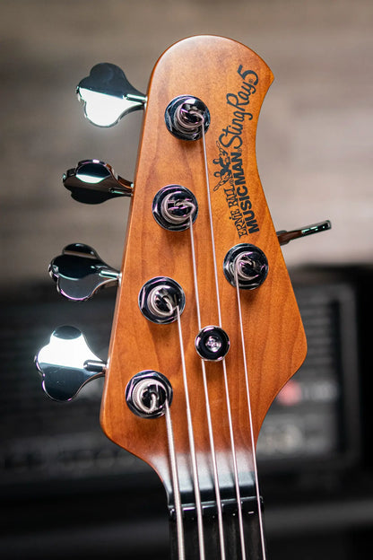 Ernie Ball Music Man StingRay 5-String Special Electric Bass - Anomalous Green with Hard Bag