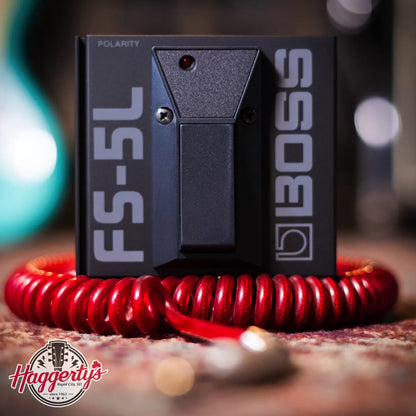 FS 5L