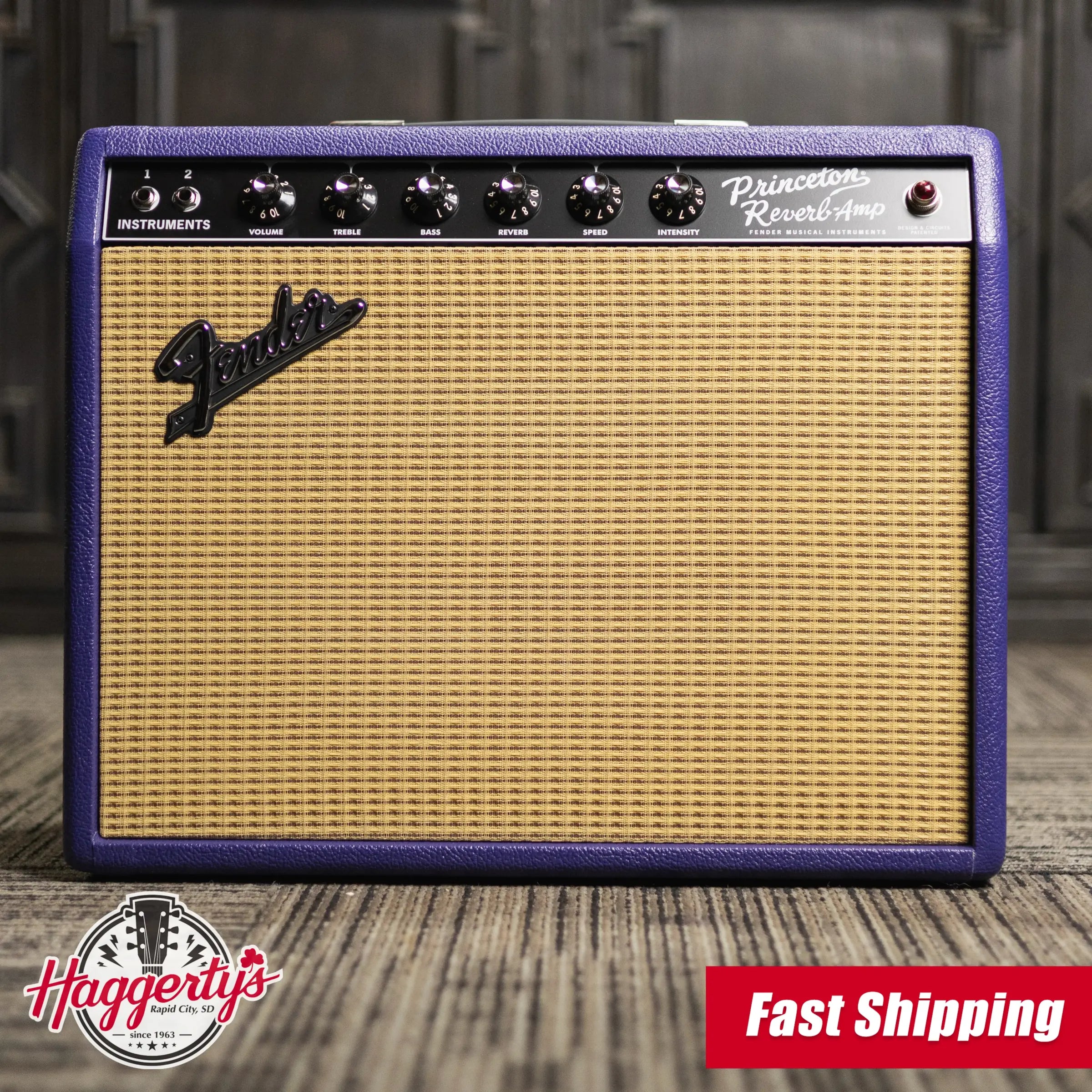 Fender '65 Princeton Reverb - Plum Greenback 120V