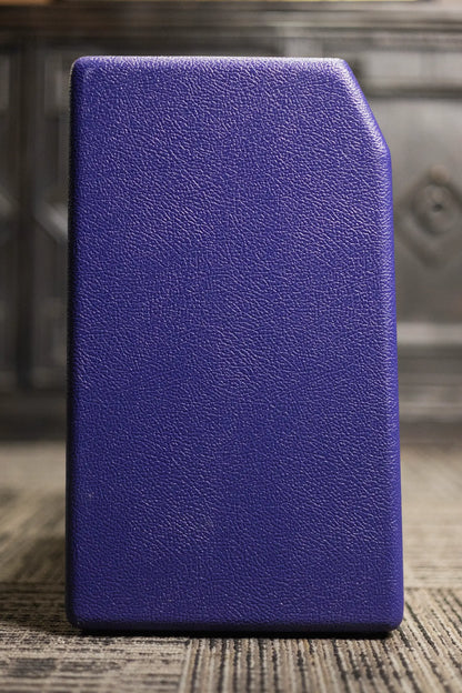Fender '65 Princeton Reverb - Plum Greenback 120V