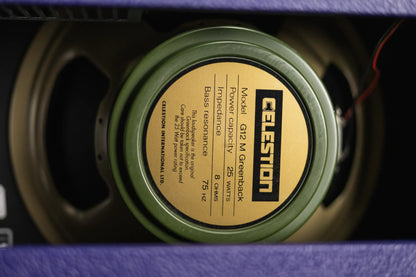 Fender '65 Princeton Reverb - Plum Greenback 120V