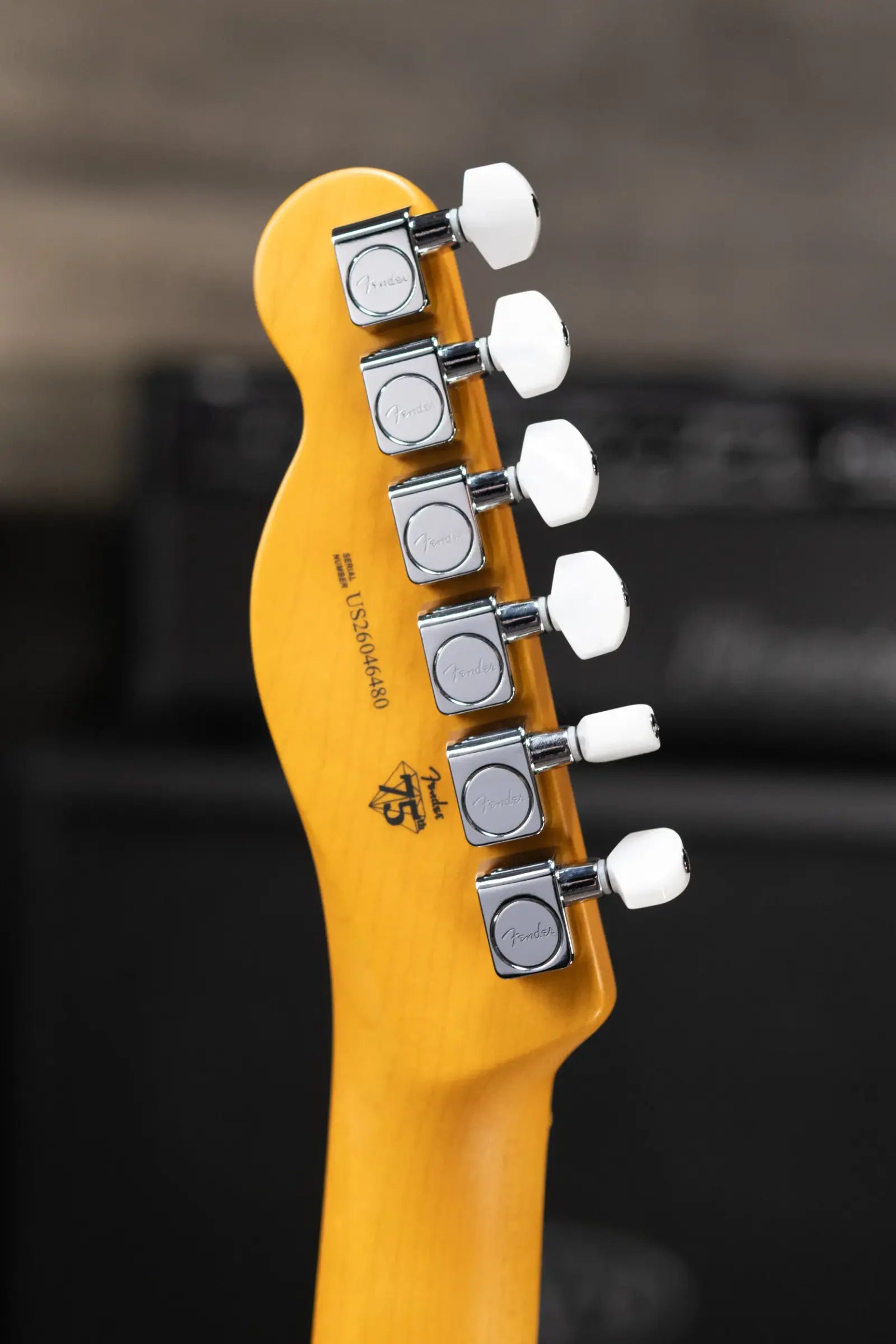 Fender 75th Anniversary American Professional Classic Cabronita Telecaster Electric Guitar - Ice Blue Metallic with Hardshell Case