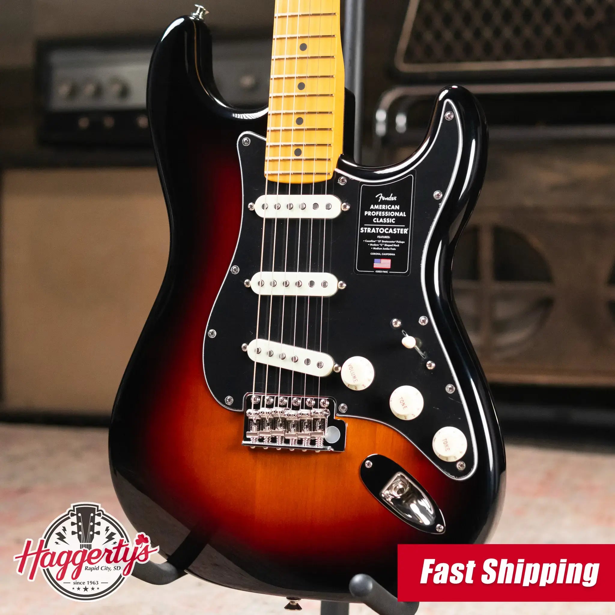Fender American Professional Classic Stratocaster Electric Guitar - 3-Color Sunburst with Gig Bag