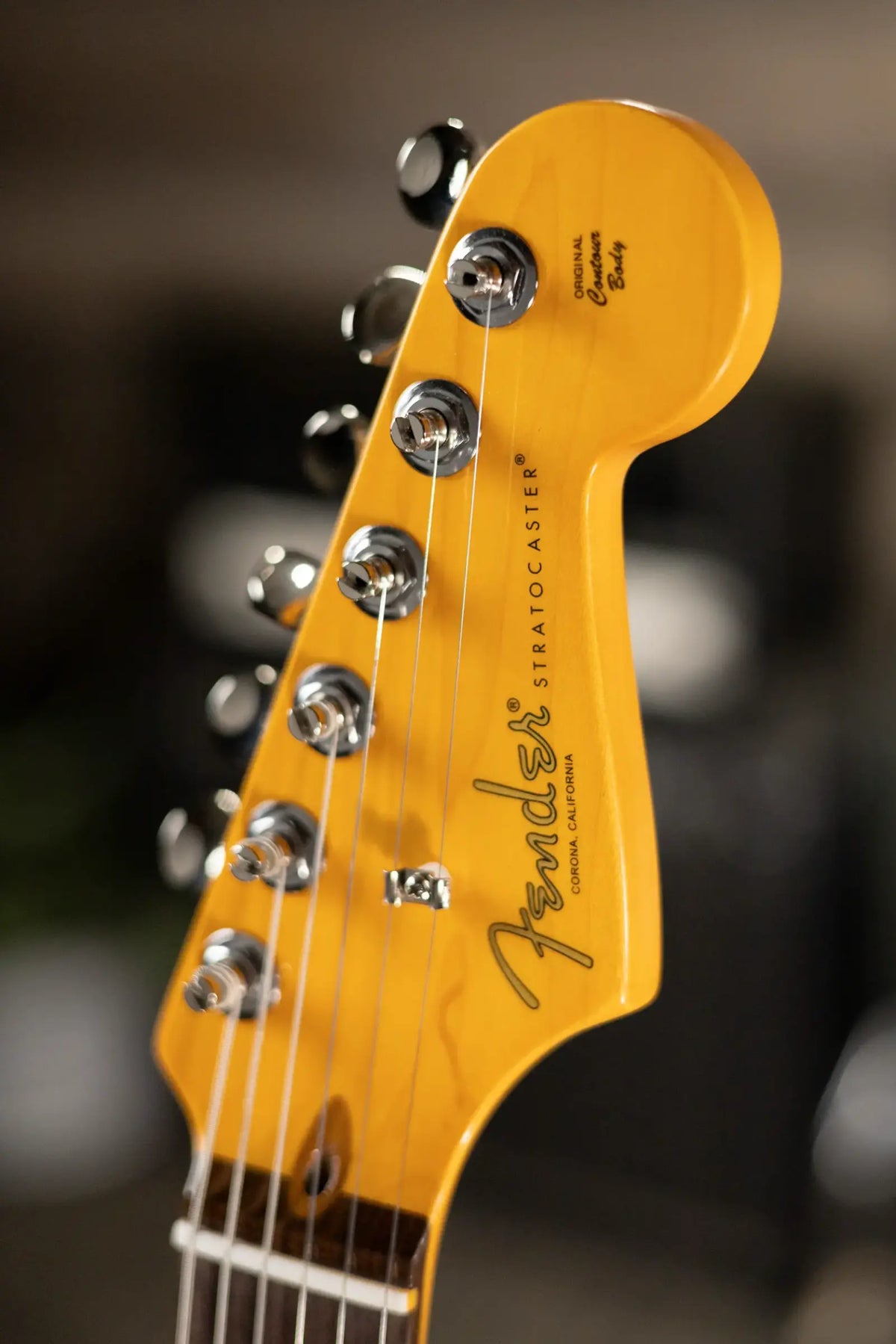 Fender American Professional Classic Stratocaster Electric Guitar - Faded Black with Gig Bag - Demo