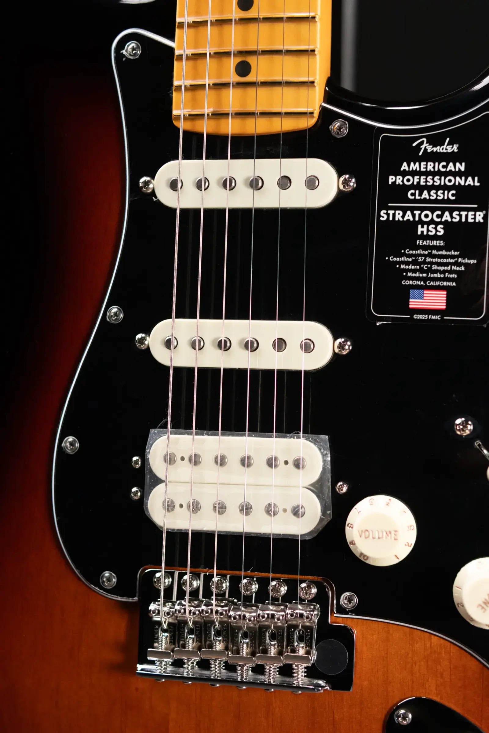 Fender American Professional Classic Stratocaster HSS Electric Guitar - 3-Color Sunburst with Gig Bag