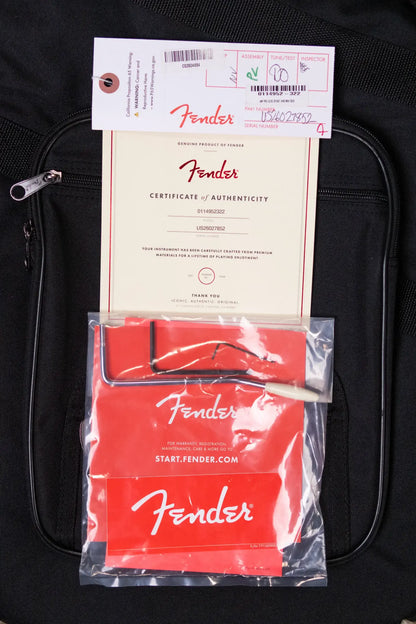 Fender American Professional Classic Stratocaster HSS Electric Guitar - Faded Black with Gig Bag