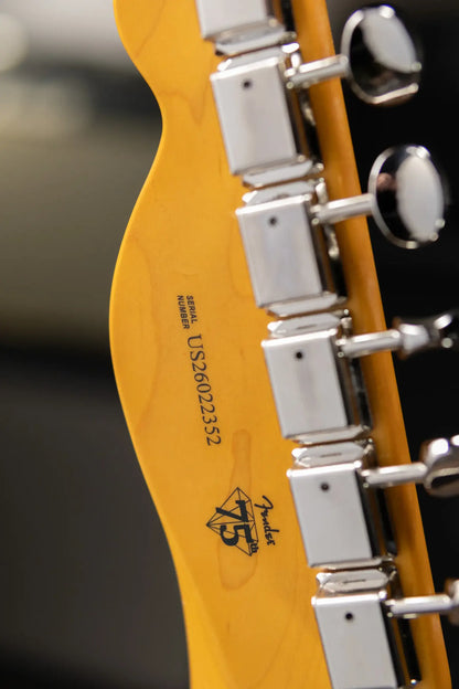 Fender American Professional Classic Telecaster Electric Guitar - Faded Black with Gig Bag