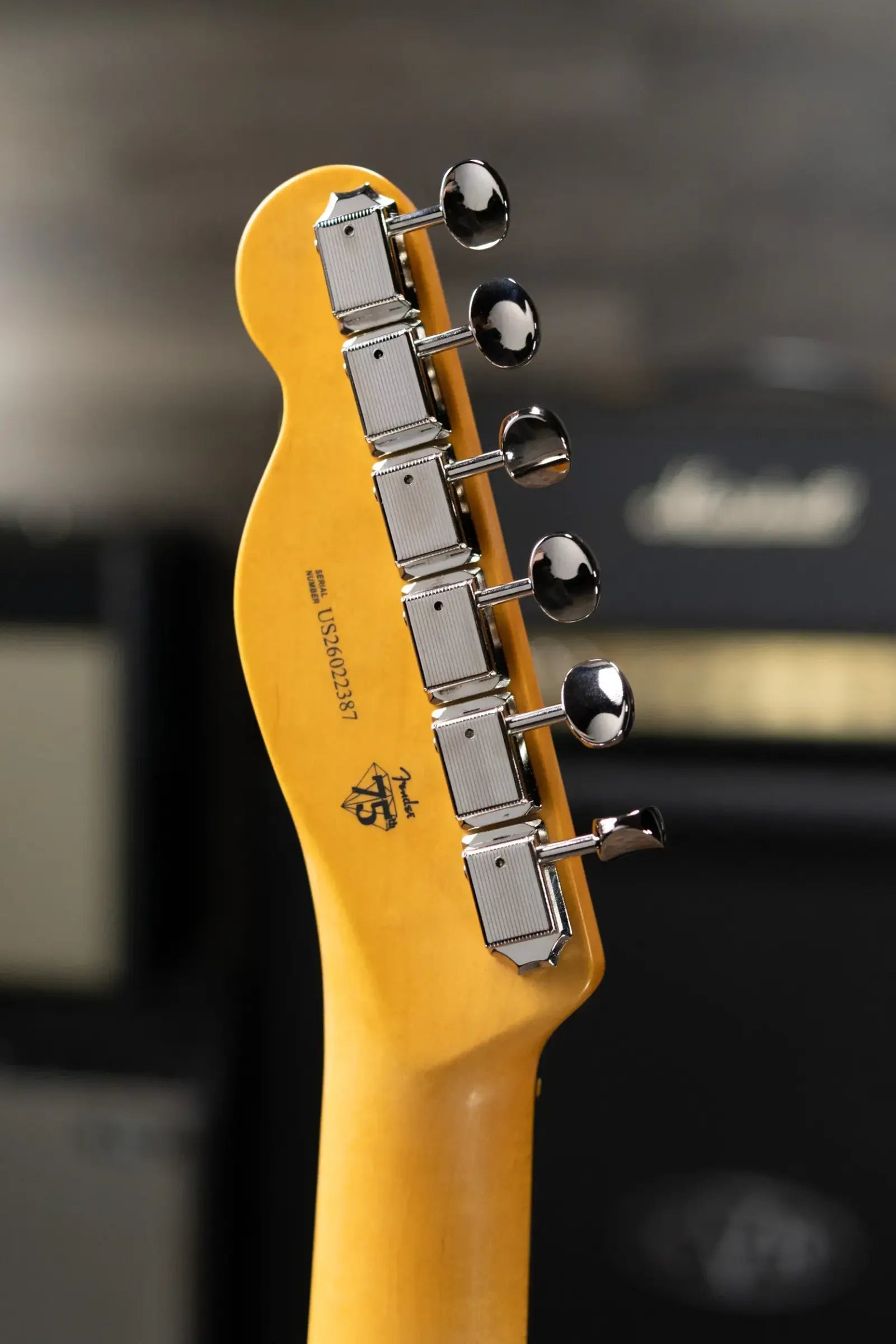 Fender American Professional Classic Telecaster Electric Guitar - Faded Black with Gig Bag