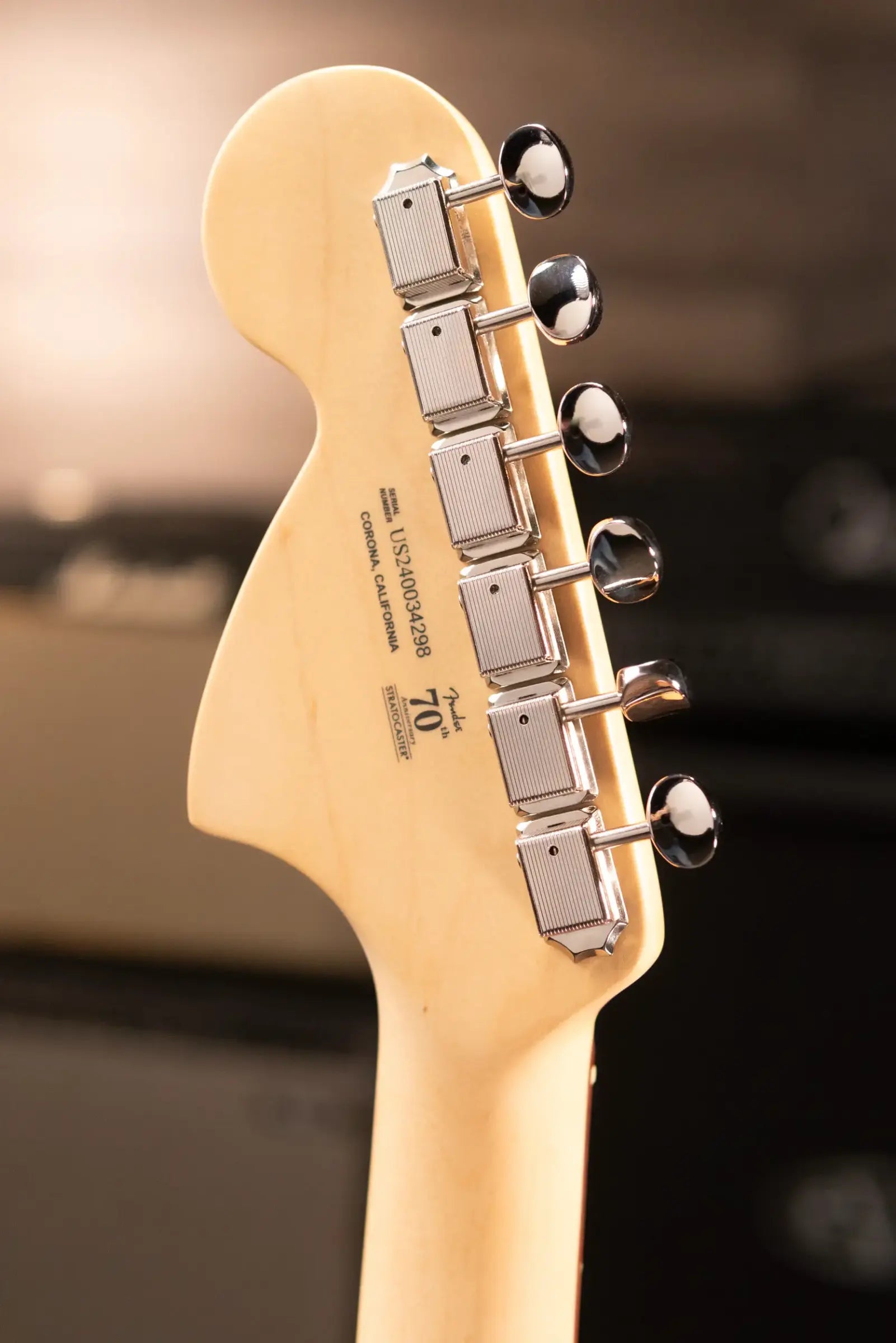 Fender Limited Edition American Performer Timber Stratocaster Electric Guitar - Honey Burst with Deluxe Gig Bag