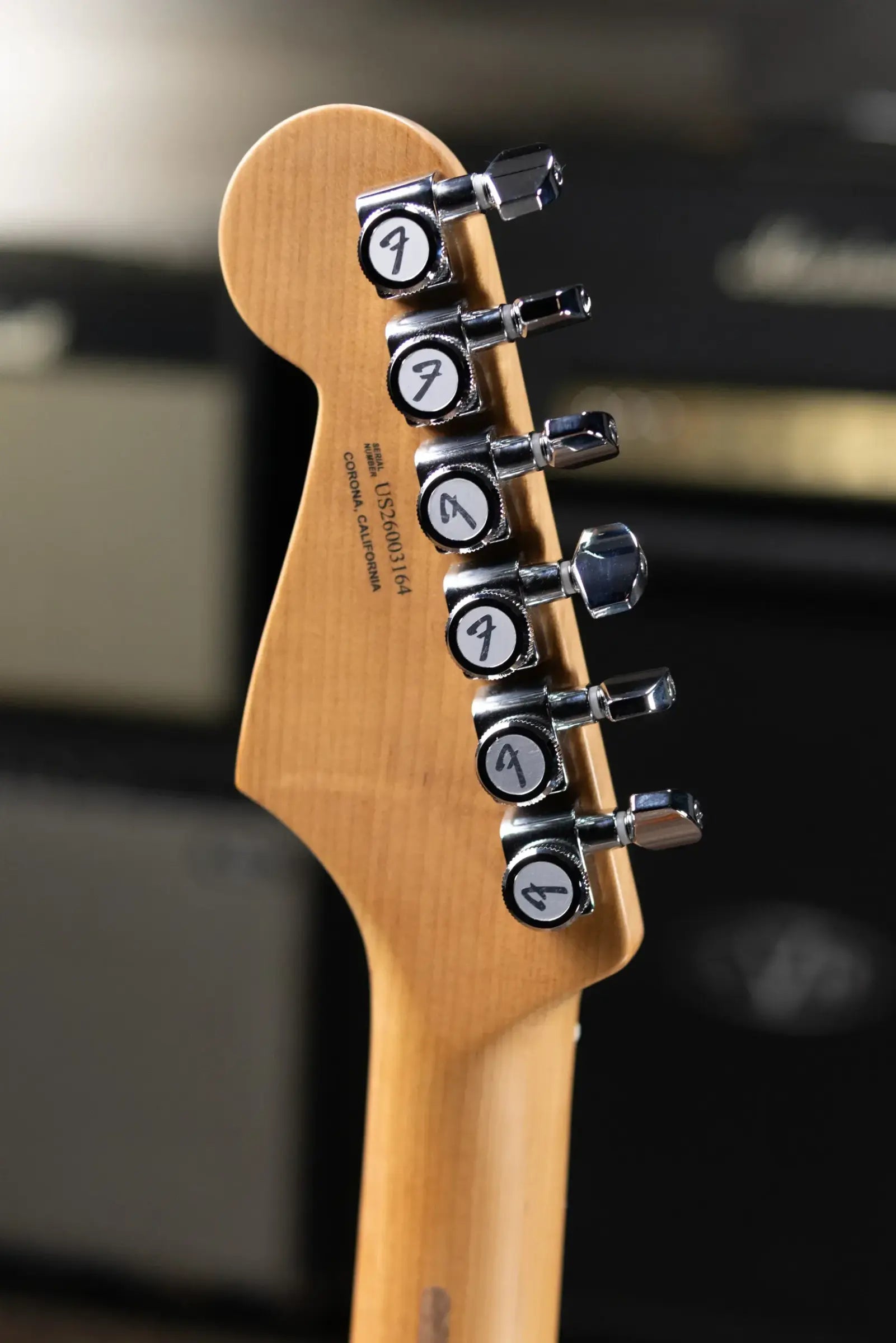 Fender Limited Edition American Ultra II Stratocaster Electric Guitar - Natural with Hardshell Case