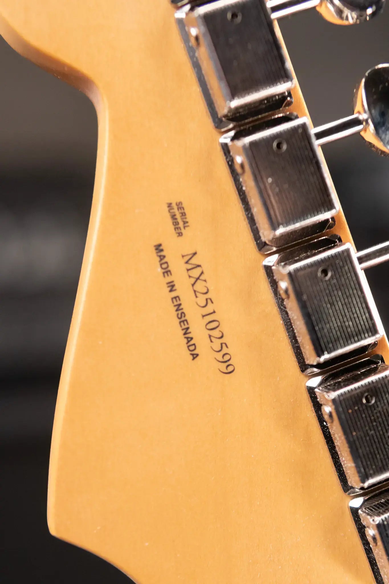 Fender Player II Stratocaster Electric Guitar - Black