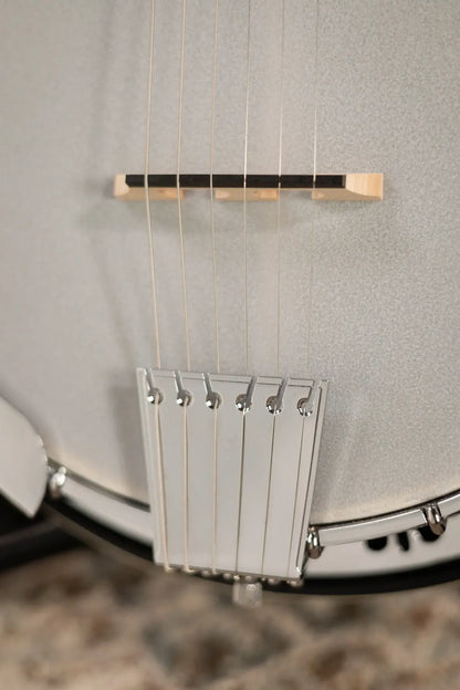 Fender Rustler 6-String Banjo with Hardshell Case - 3-Color Sunburst - Used