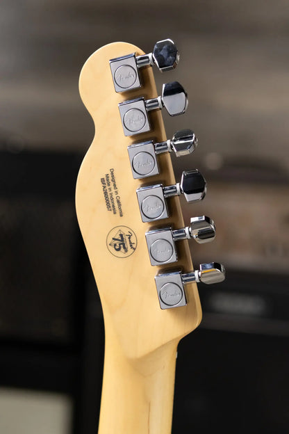 Fender Standard Telecaster Electric Guitar - Butterscotch Blonde