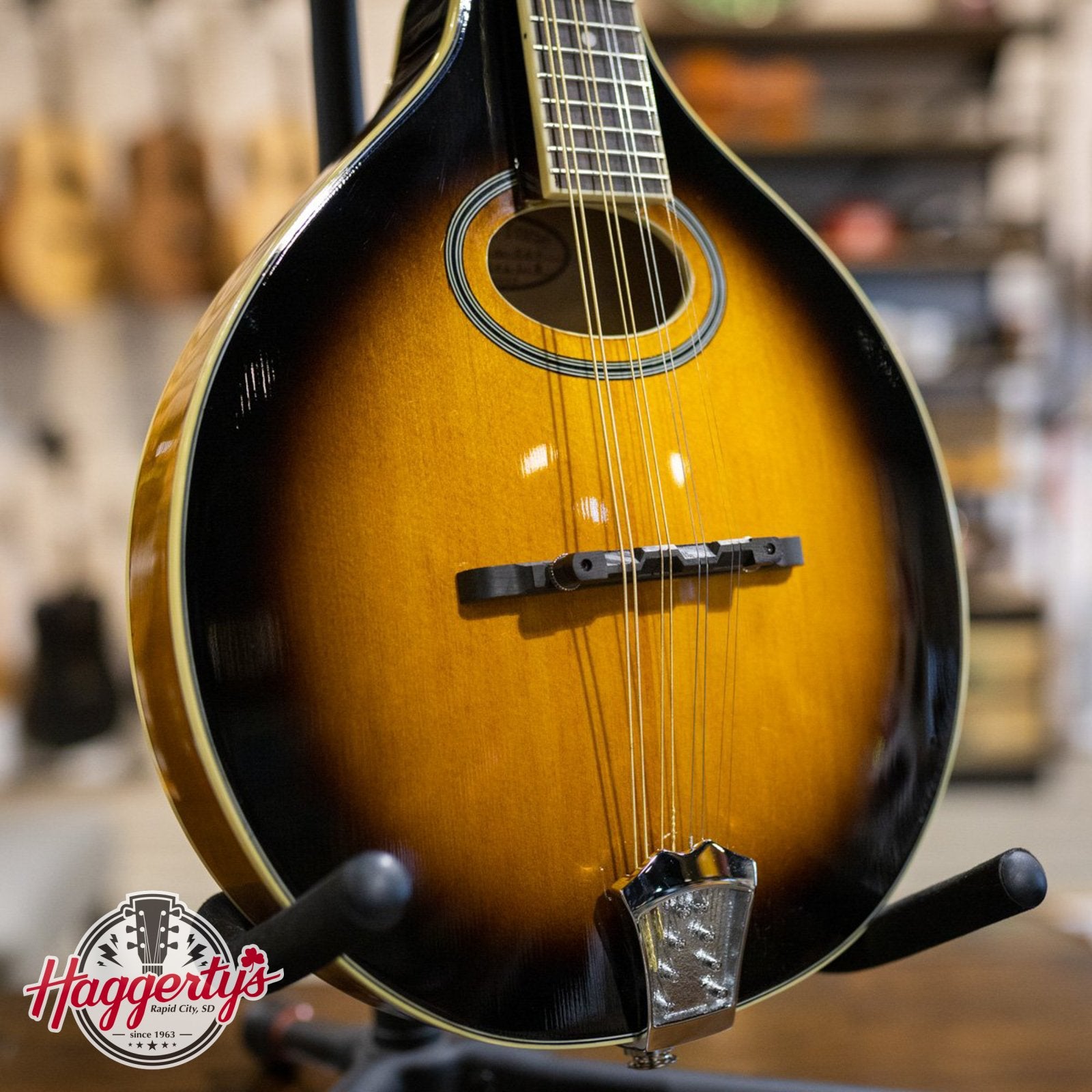 Gold Tone GM-50+ A Style Mandolin with Pickup and Bag