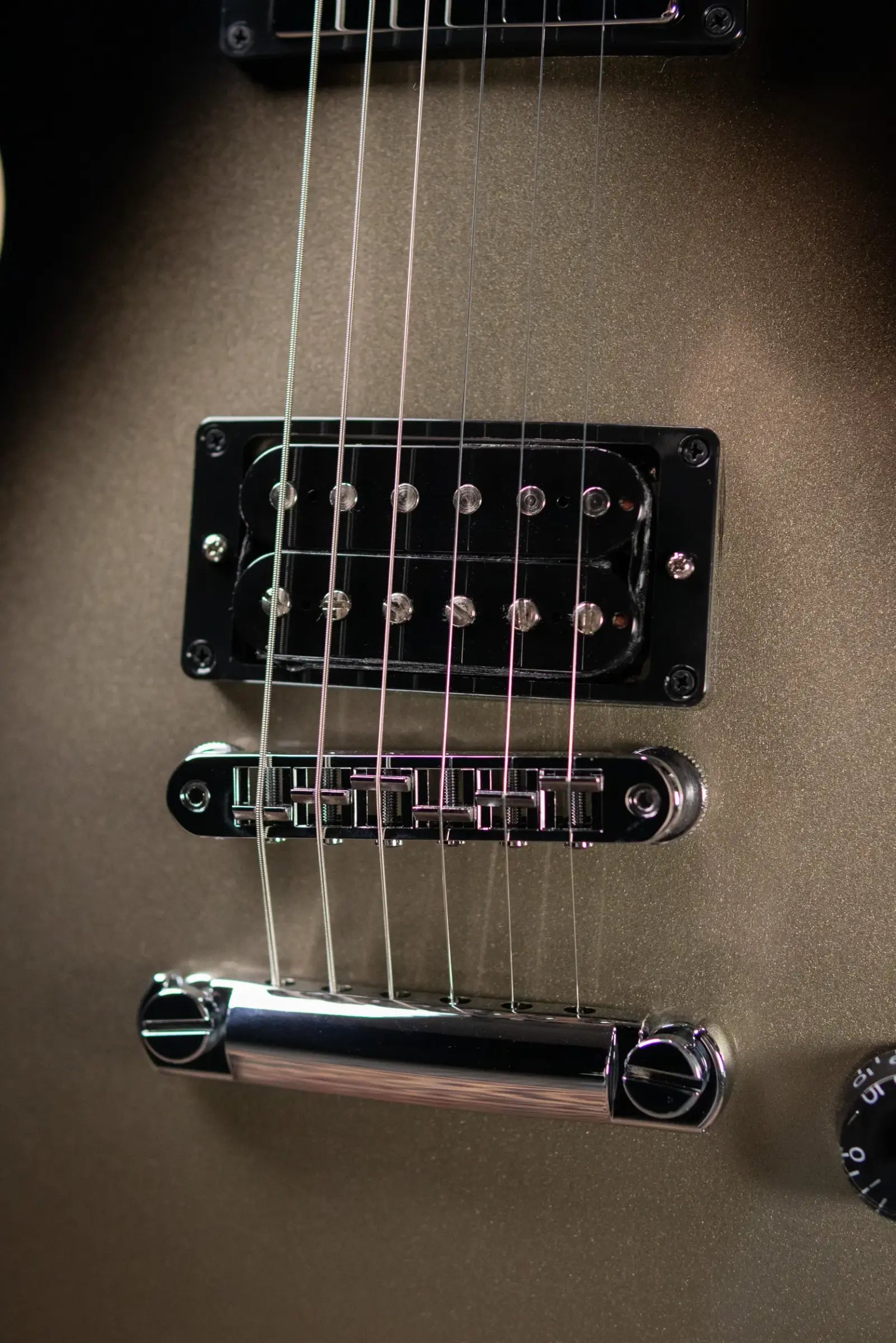 Gibson Adam Jones Signature Les Paul Standard Electric Guitar - Silverburst with Hardshell Case