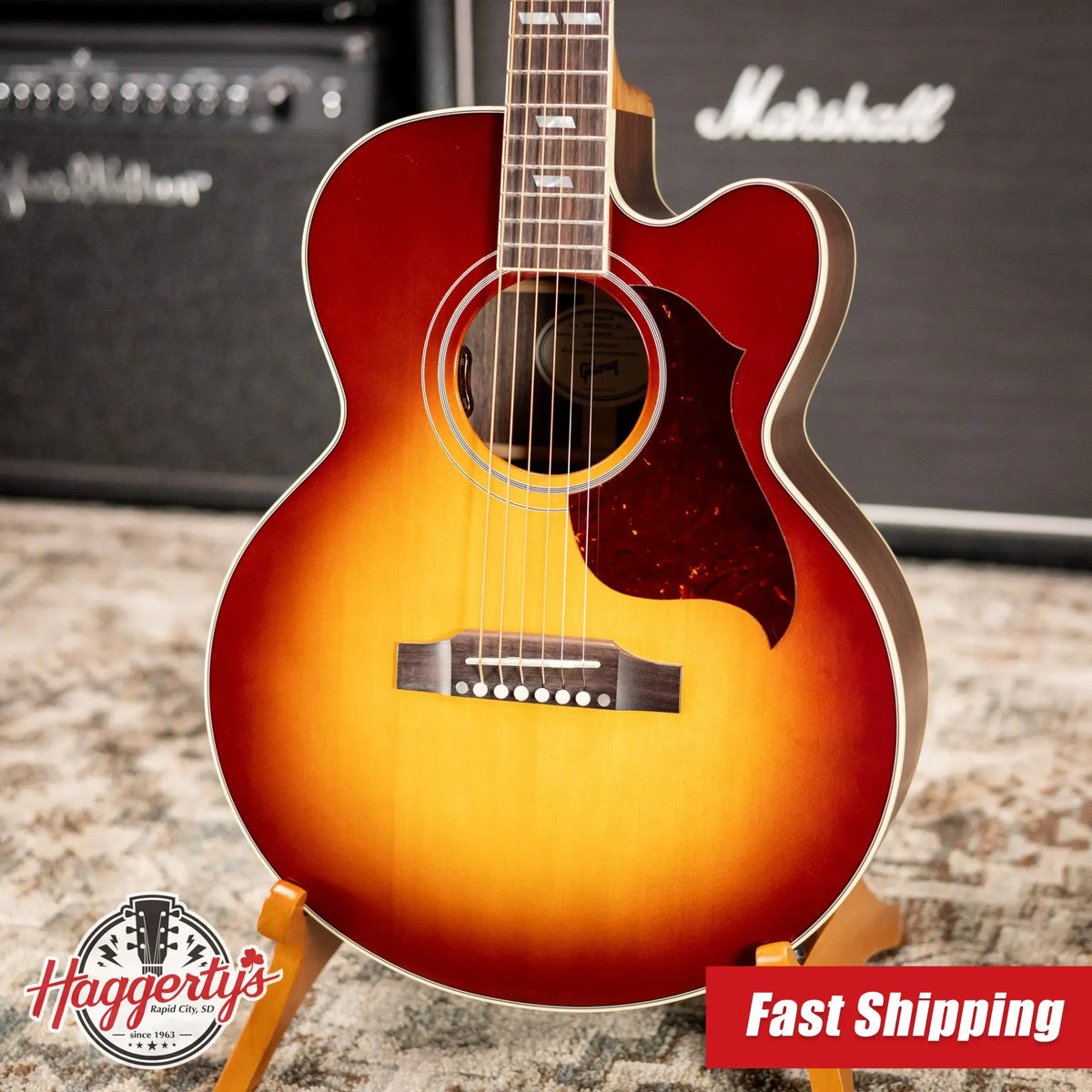 Gibson Parlor Rosewood EC Acoustic/Electric Guitar - Rosewood Burst with Hardshell Case
