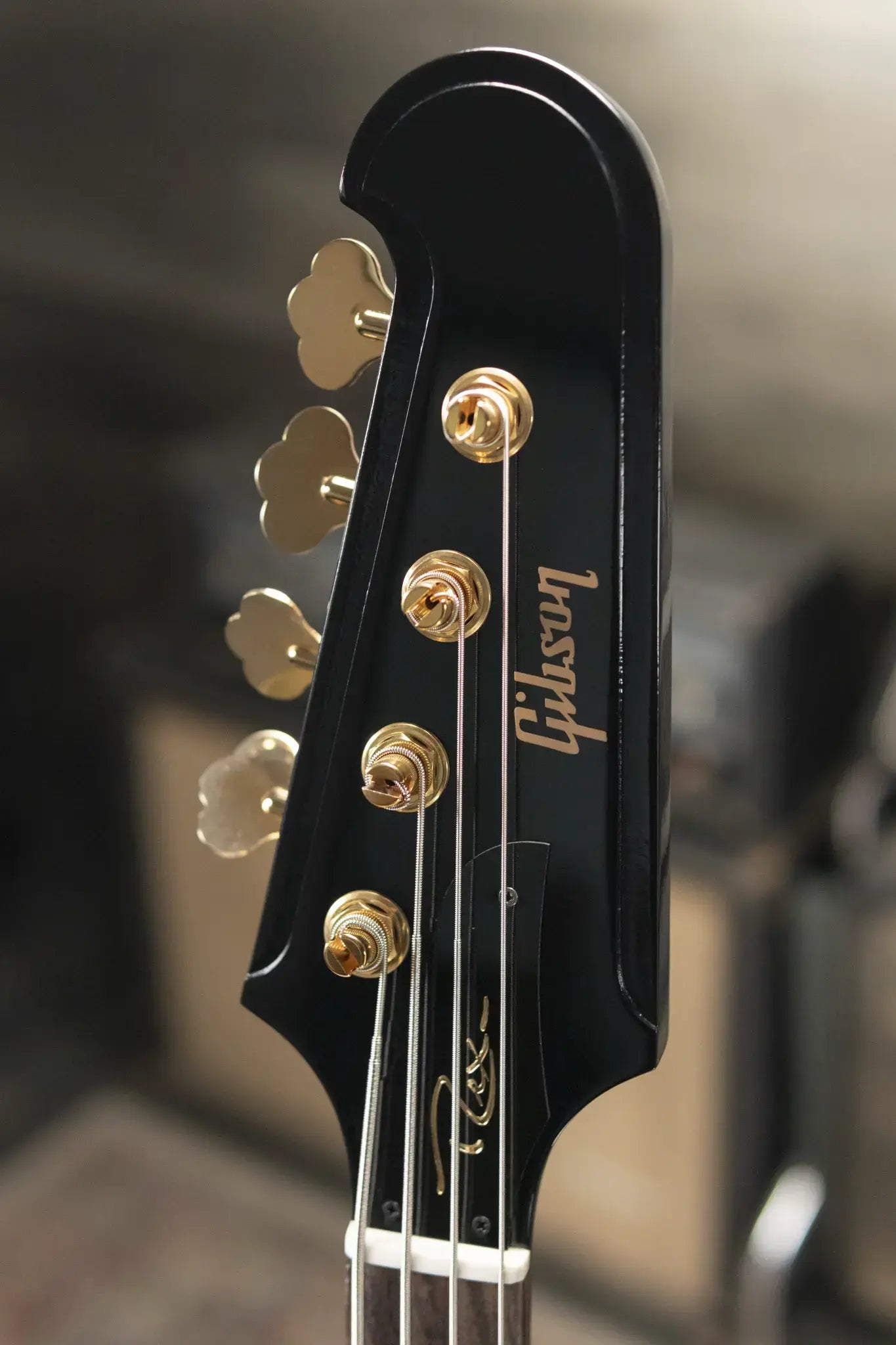 Gibson Rex Brown Signature Thunderbird Bass - Ebony with Hardshell Case