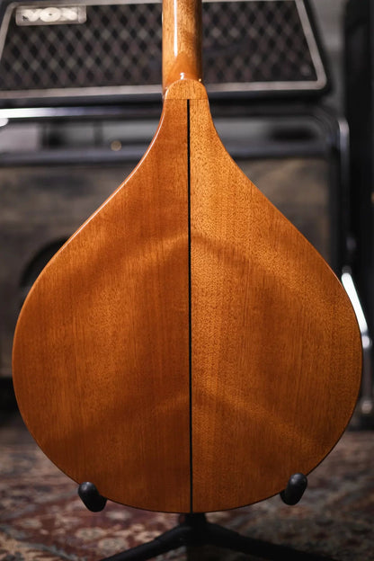 Gold Tone BZ 500 Irish Bouzouki Mandolin haggertys 08