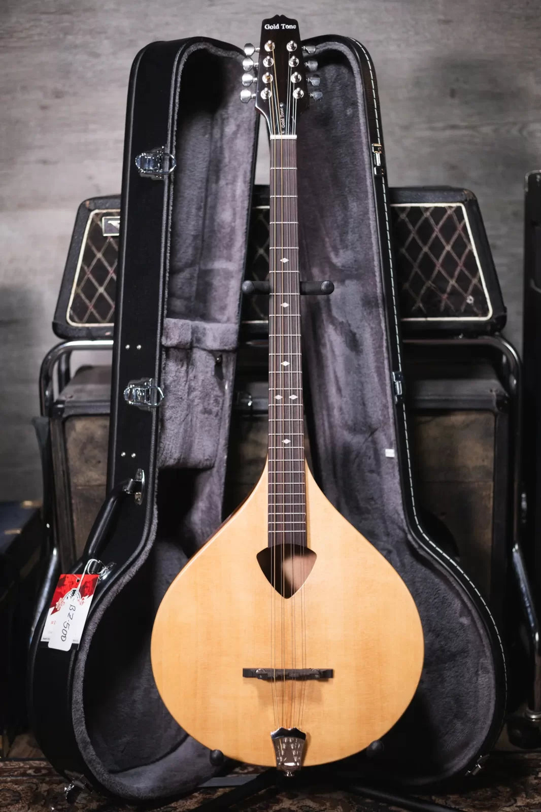 Gold Tone BZ-500 Irish Bouzouki Mandolin