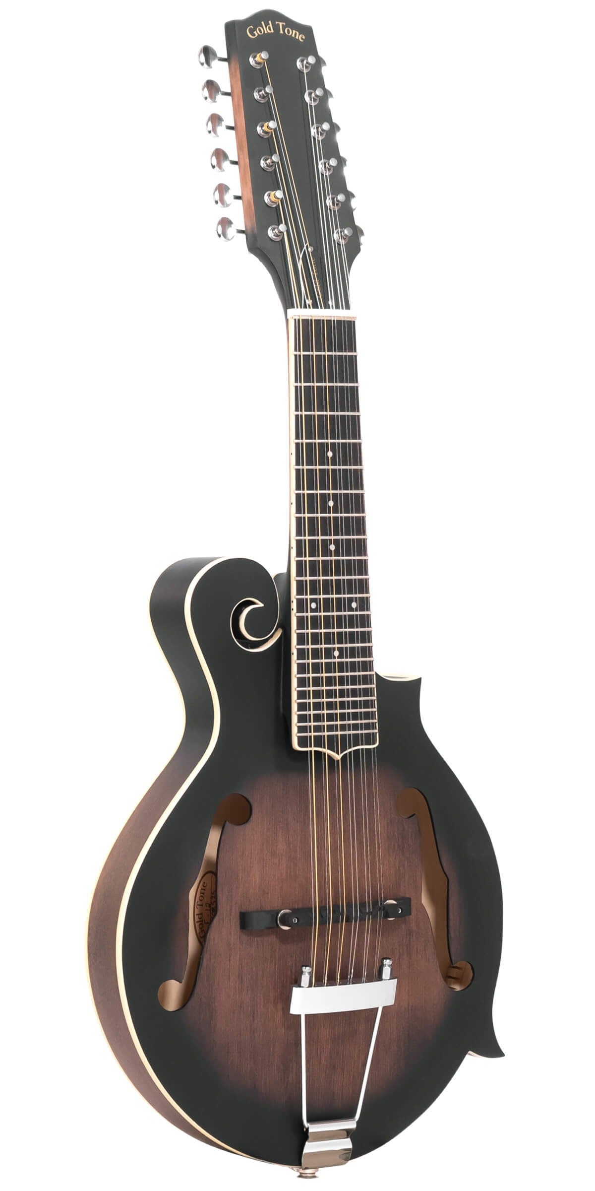 Gold Tone F-12 12-String F-Style Mando-Guitar with Pickup
